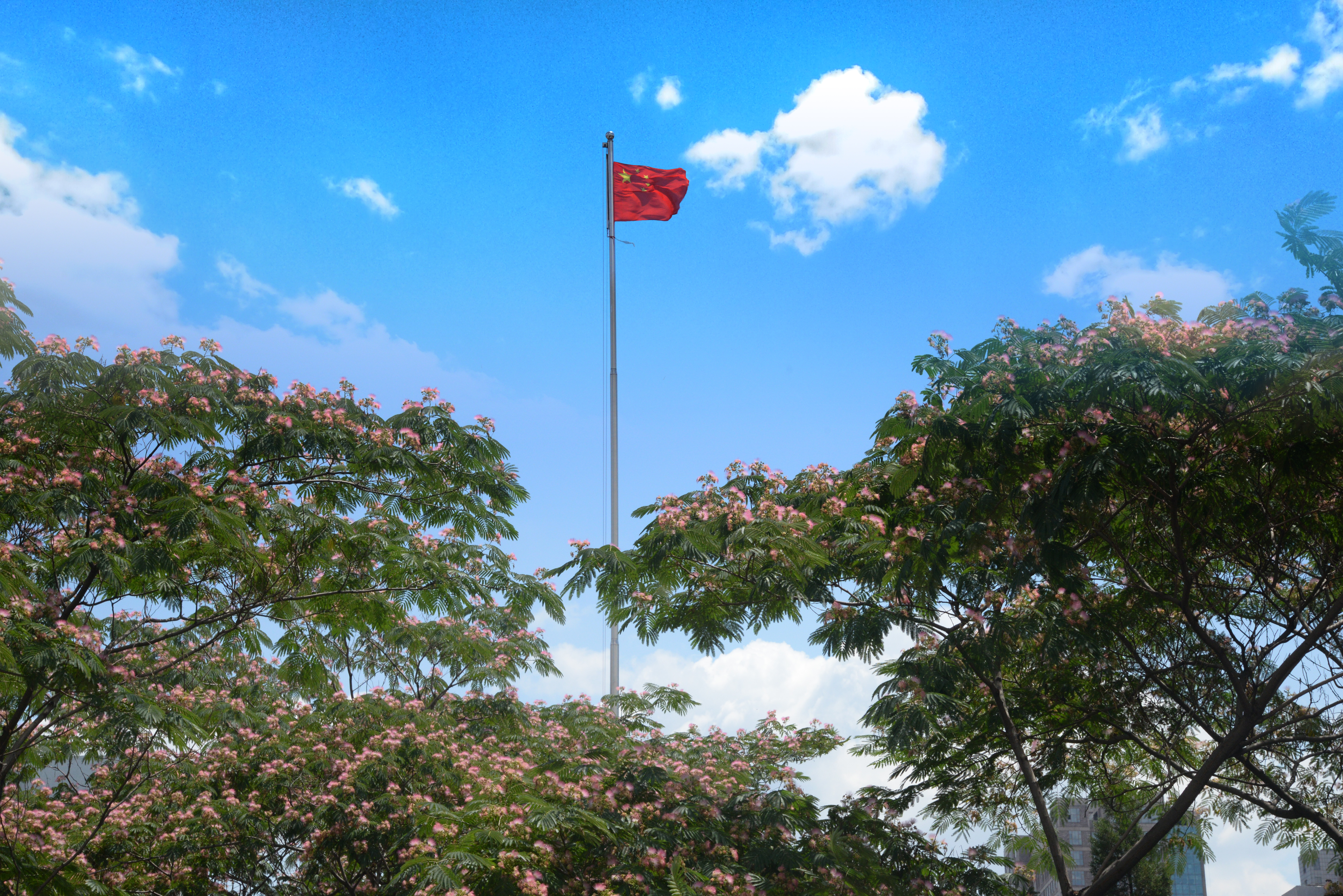 校園風(fēng)光23